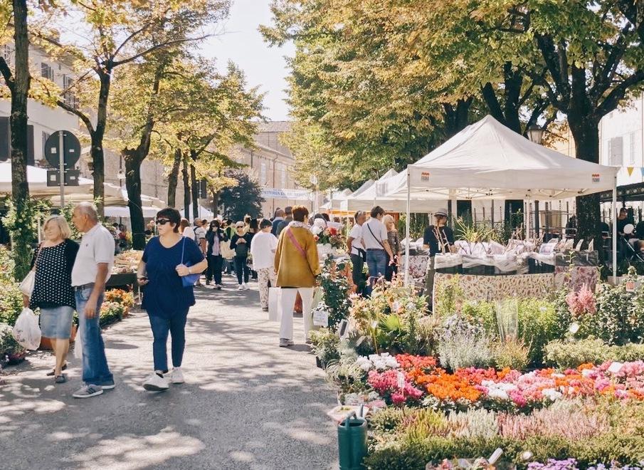 A Guastalla è tempo di "Piante e Animali Perduti"