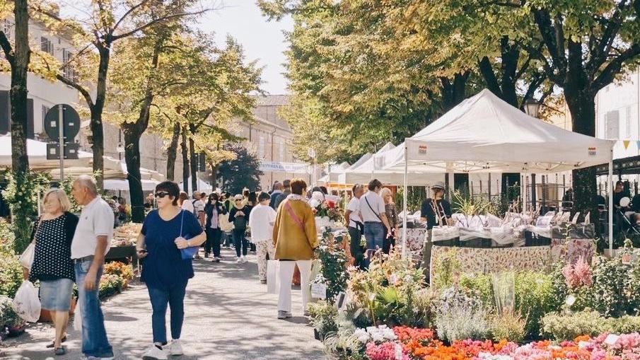 A Guastalla è tempo di "Piante e Animali Perduti"