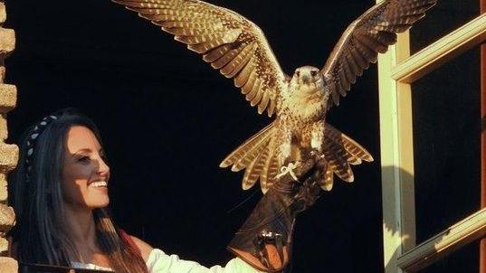 Torna il Palio dell’Angelica con spettacoli e competizioni