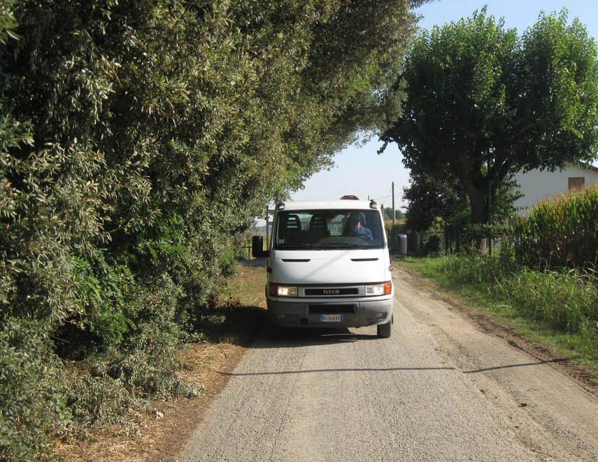 Alberi e arbusti invadenti Via Boschetto è pericolosa 
