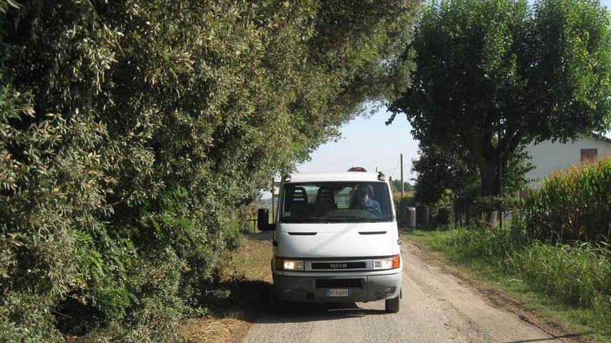 Alberi e arbusti invadenti Via Boschetto è pericolosa