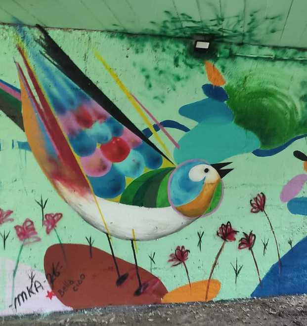 Murales e foto abbelliscono il parco Rio Valle 