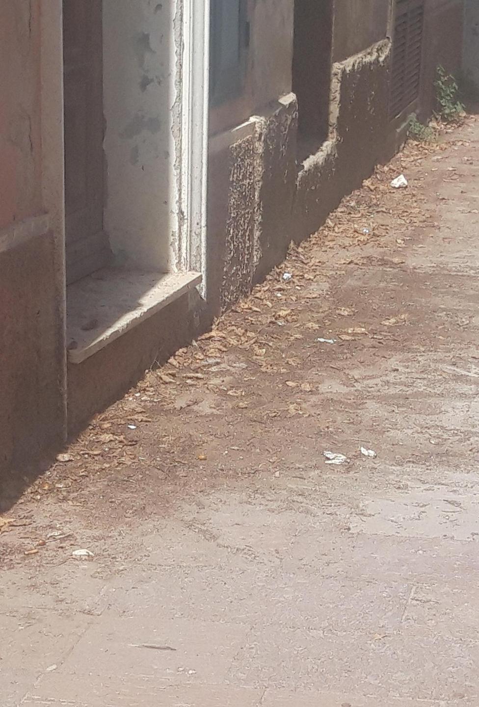 «Piazza Garibaldi merita più attenzione»