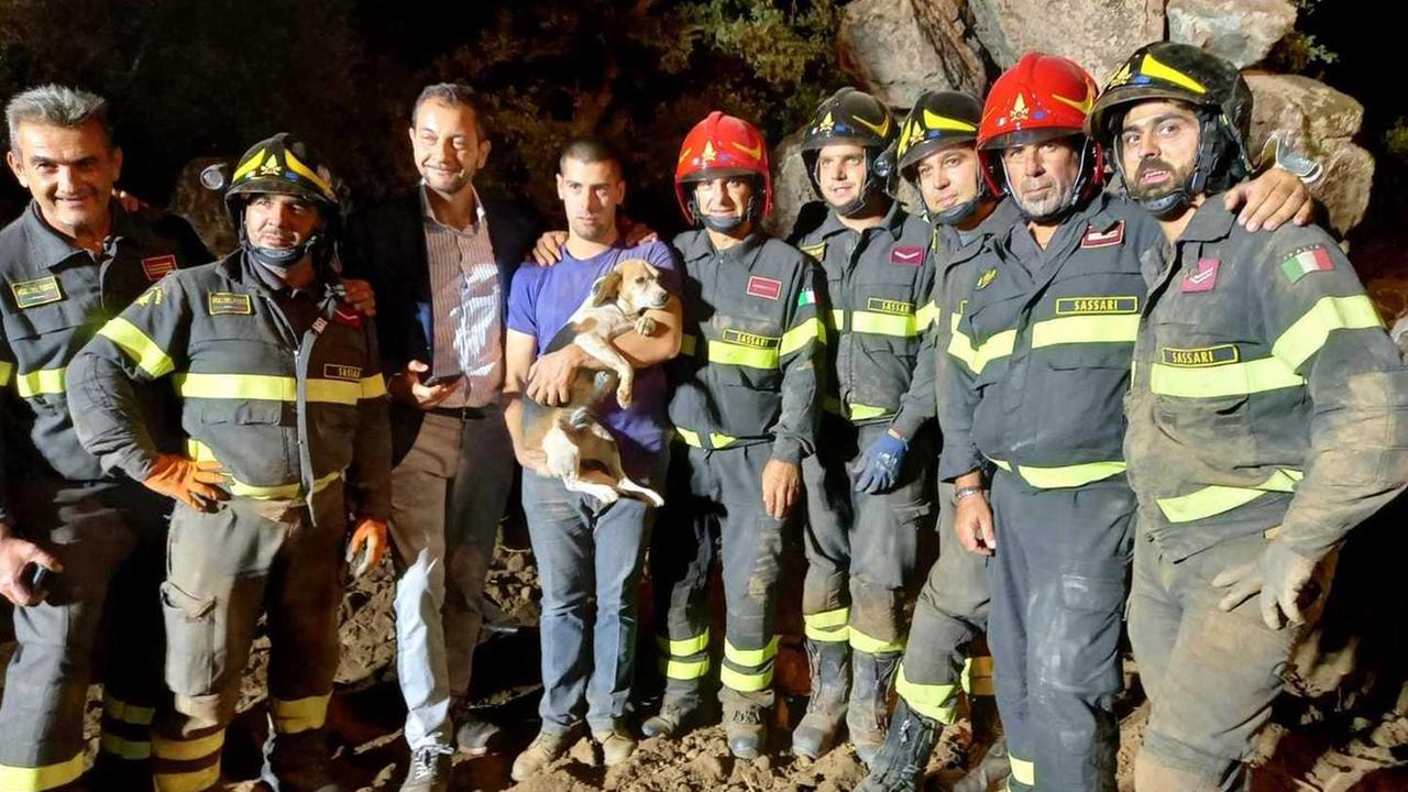 Beagle incastrata sotto una roccia, la salvano i vigili del fuoco