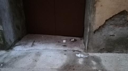 Ferrara. La movida nei vicoli: «Sporco e rumori impossibile dormire»