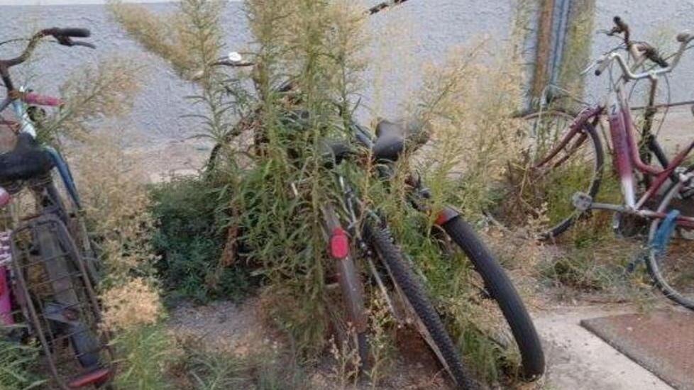 «Come si può ripulire quell’area occupata da bici abbandonate?»