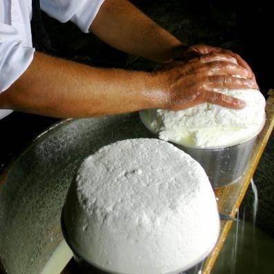 Il Fiore sardo dei pastori alla biennale dei formaggi a latte crudo 