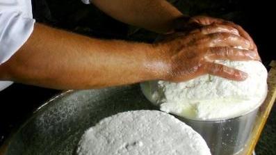 Il Fiore sardo dei pastori alla biennale dei formaggi a latte crudo