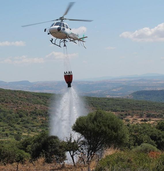 Un incendio percorre tre ettari