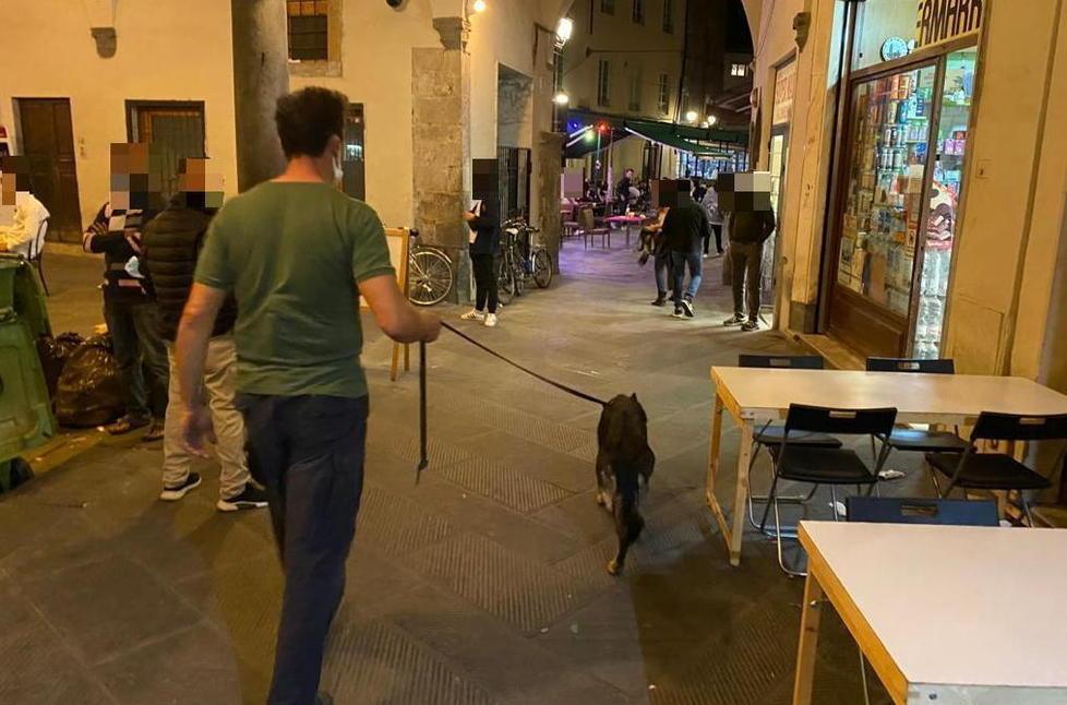 A 17 anni spaccia tra i tavoli del bar: studente pisano bloccato dagli agenti 