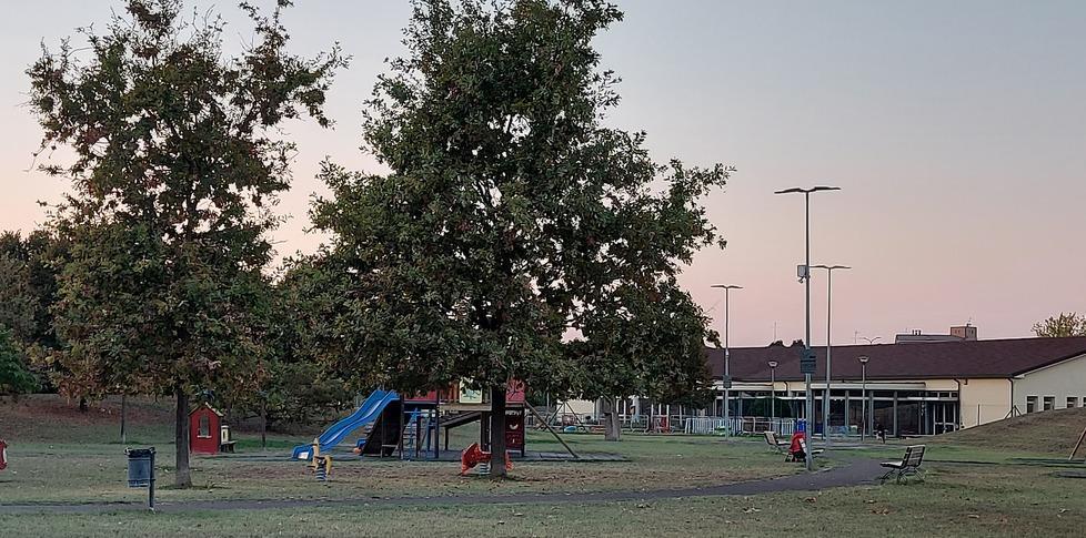 Installate le luci solo due anni fa e il parco è al buio 