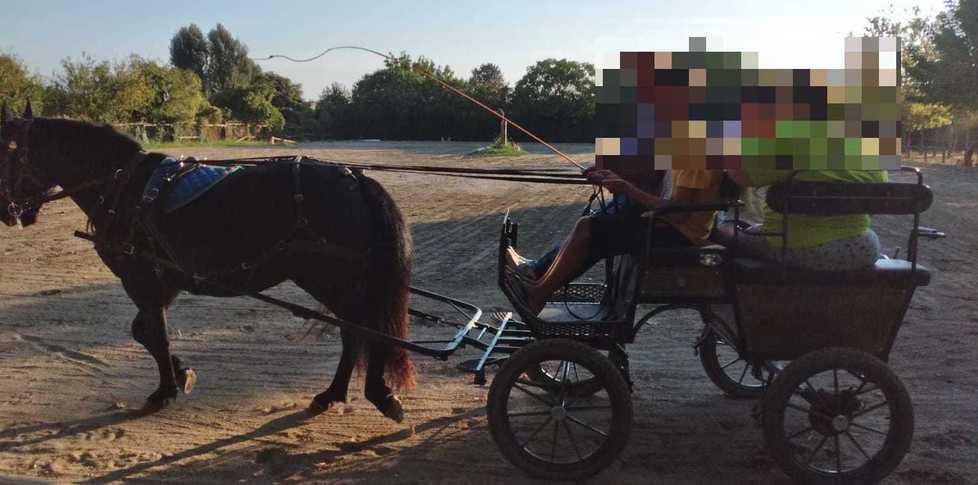 Forte aiuta il ranch con il progetto dedicato ai fragili 
