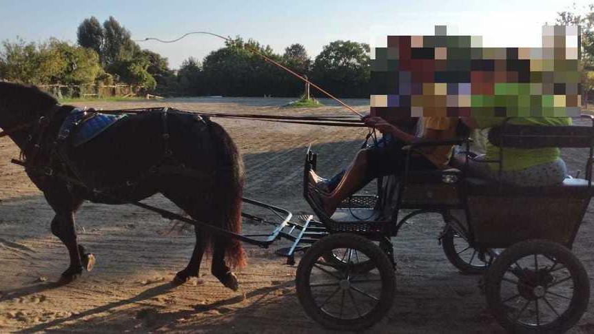 Forte aiuta il ranch con il progetto dedicato ai fragili