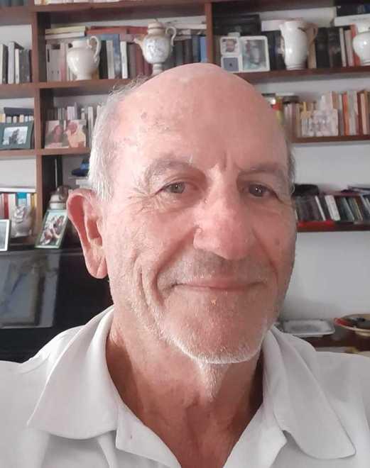 «Troppe alghe in laguna Navigare a vela non è più possibile»