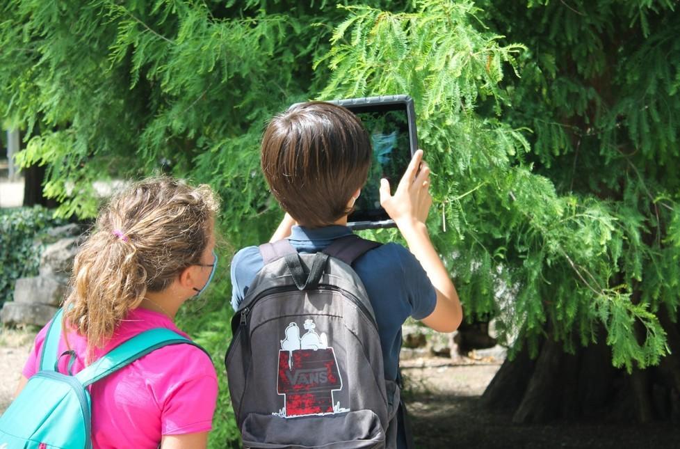 Alberi fotografati con l’app: gli studenti mappano il verde 