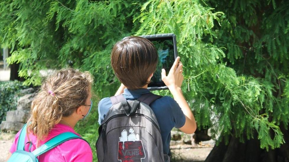 Alberi fotografati con l’app: gli studenti mappano il verde