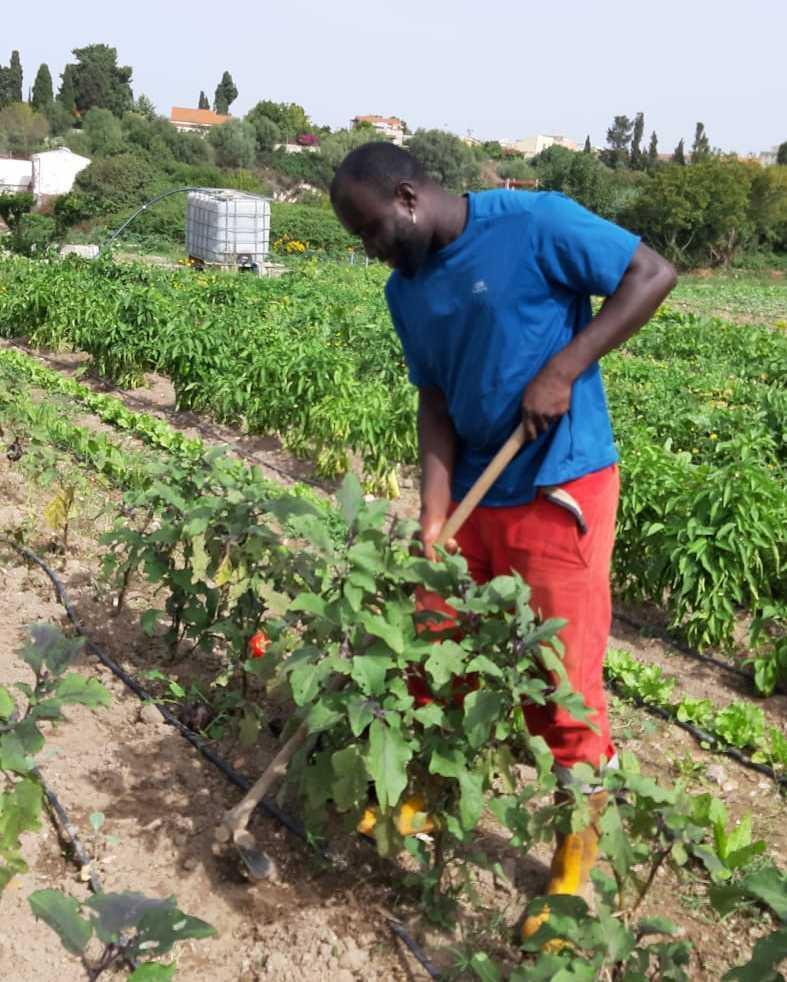 Da rivoltoso in Nigeria a contadino