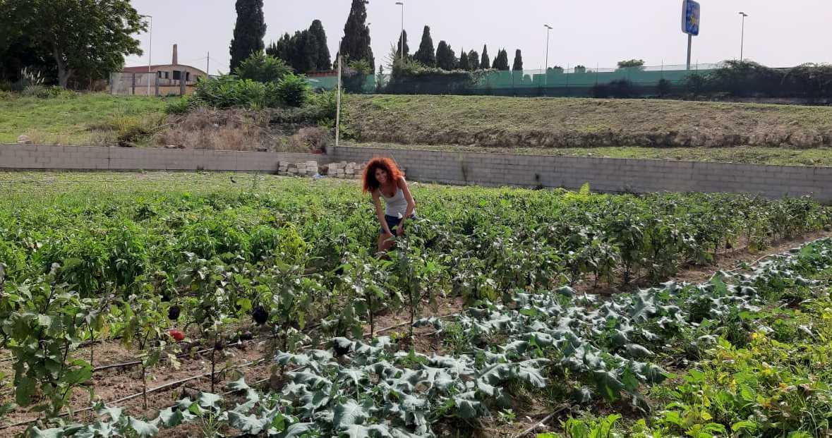 Parco delle valli e City farm: per ora tutto resta sulla carta