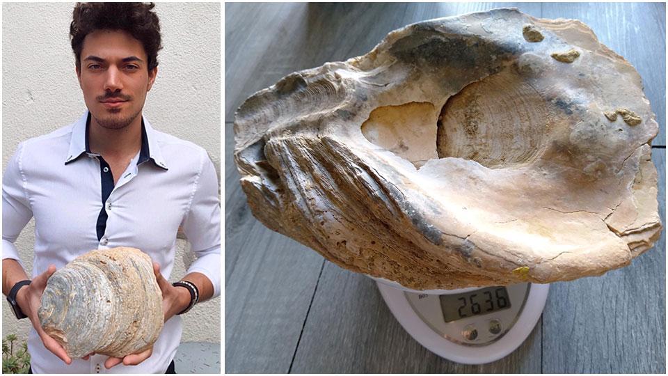 Aldo Benincasa, 26enne di Rosignano, con l’ostrica fossile trovata e fatta esaminare a Pisa