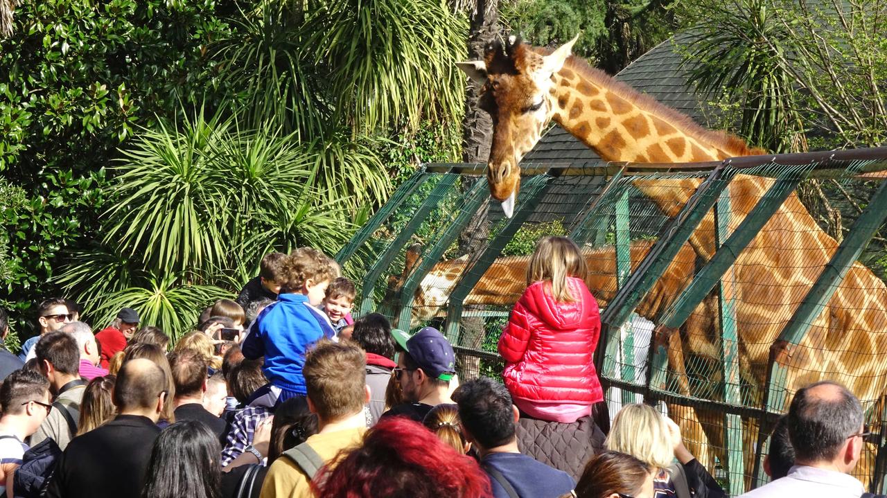 Convenzione con il Comune: lo zoo di Pistoia raddoppia gli spazi