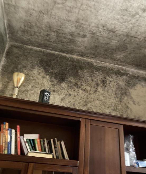 Coppia di disabili costretti a vivere in ostaggio dell’umidità e senz’acqua calda 