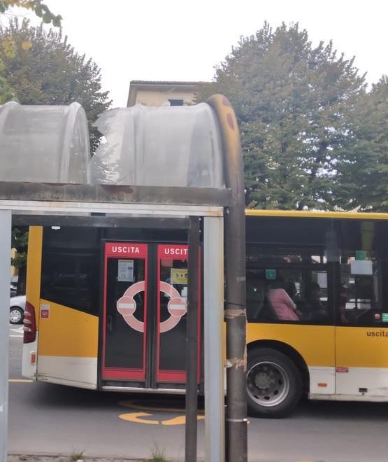 «Pensiline del bus, regno del degrado» 