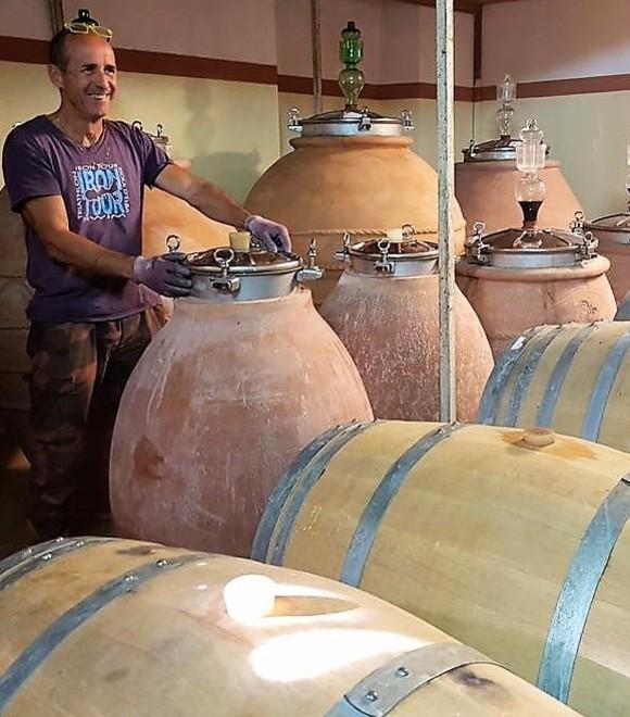 Bene i vini elbani ma poca produzione per spazi ristretti e danni dei cinghiali 