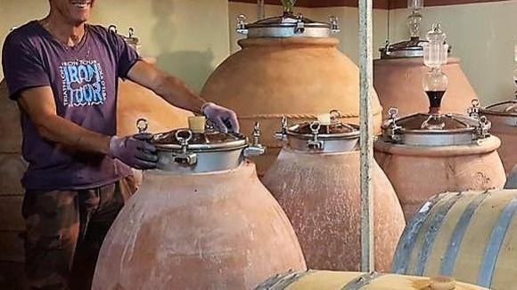 Bene i vini elbani ma poca produzione per spazi ristretti e danni dei cinghiali