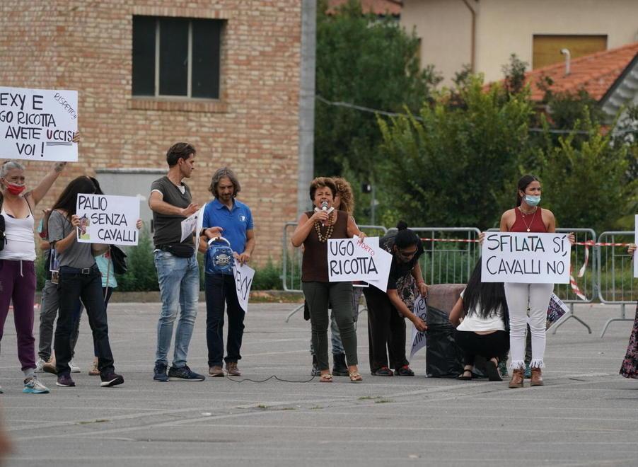 Gli animalisti in piazza Morelli (M5S): in difesa di chi non ha voce