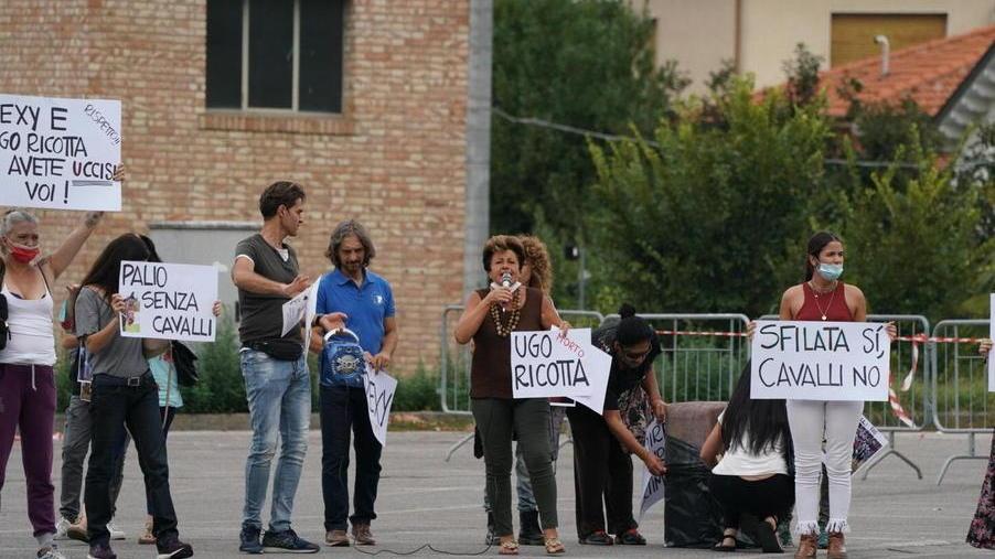 Gli animalisti in piazza Morelli (M5S): in difesa di chi non ha voce