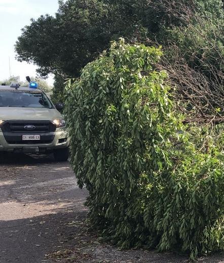Bagnanti bloccati alle Bombarde e “liberati” dalla Forestale