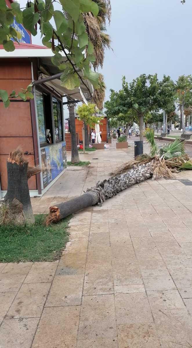 Tromba d’aria in città: quindici minuti di terrore 