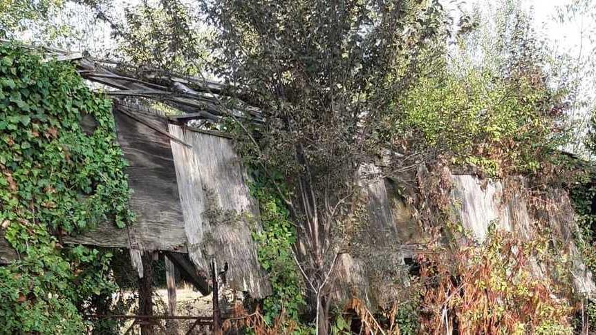 Ex ovile pericolante vicino ai Laghetti L’idea di Angelini