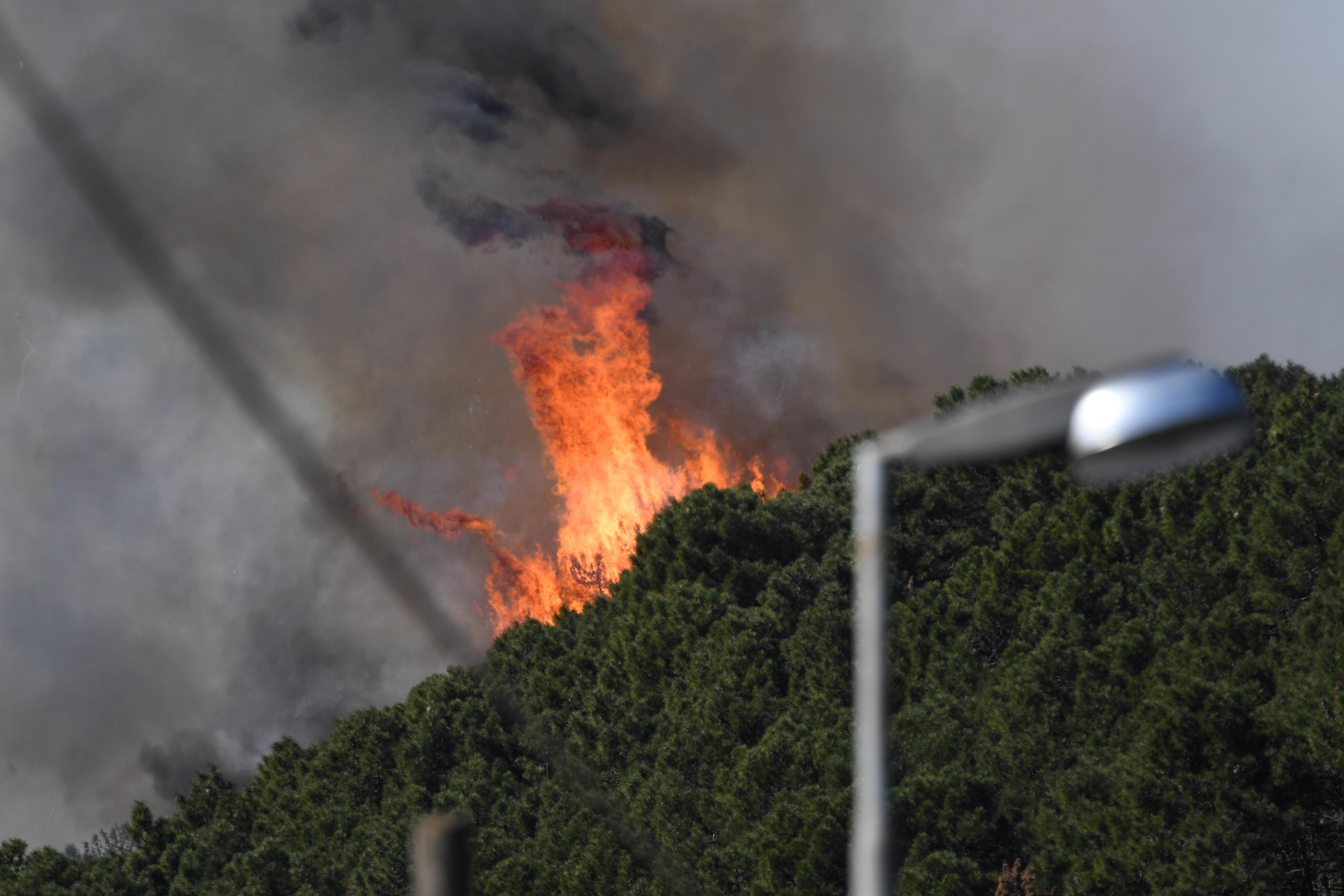 Incendio divampato sul Serra il 25 febbraio 2019