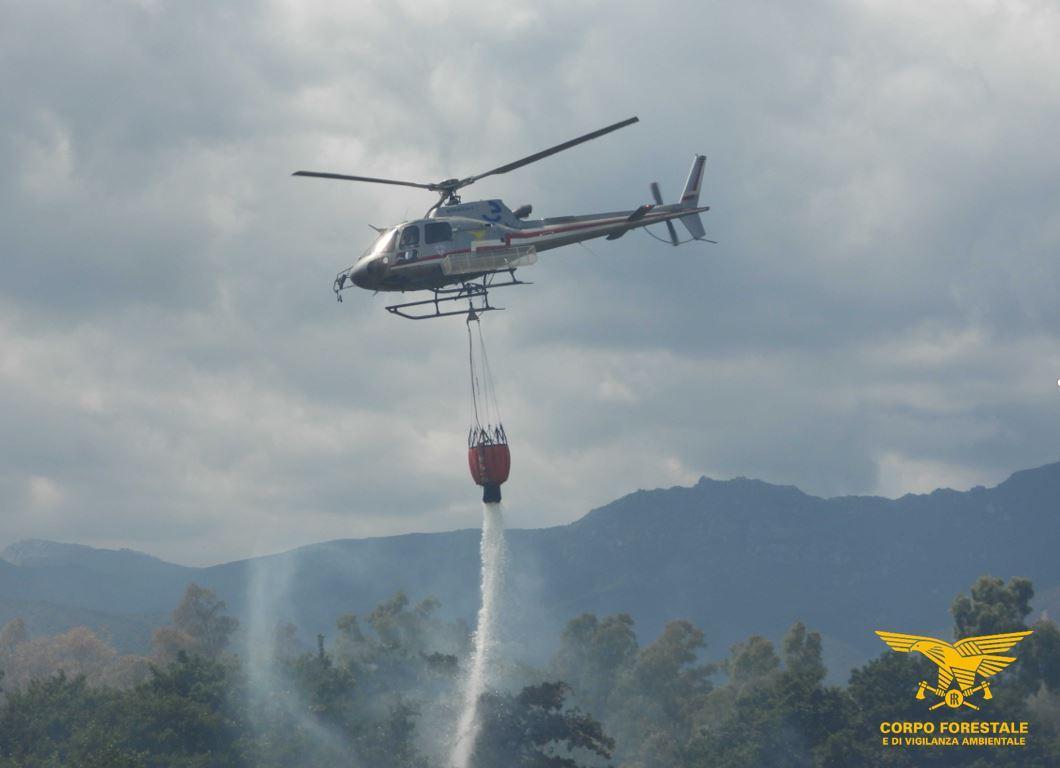 Incendi, mezzi aerei in azione in cinque zone dell'isola
