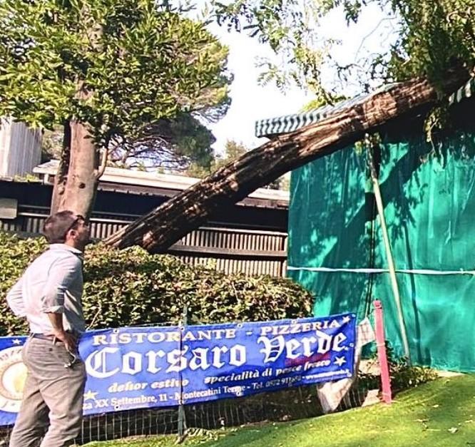 Il sindaco: «Fatte le verifiche sulla pulizia delle strade»