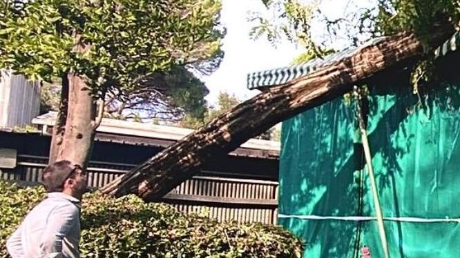 Il sindaco: «Fatte le verifiche sulla pulizia delle strade»