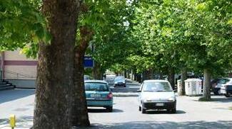 Boccone-esca in strada «Non è tossico o nocivo»