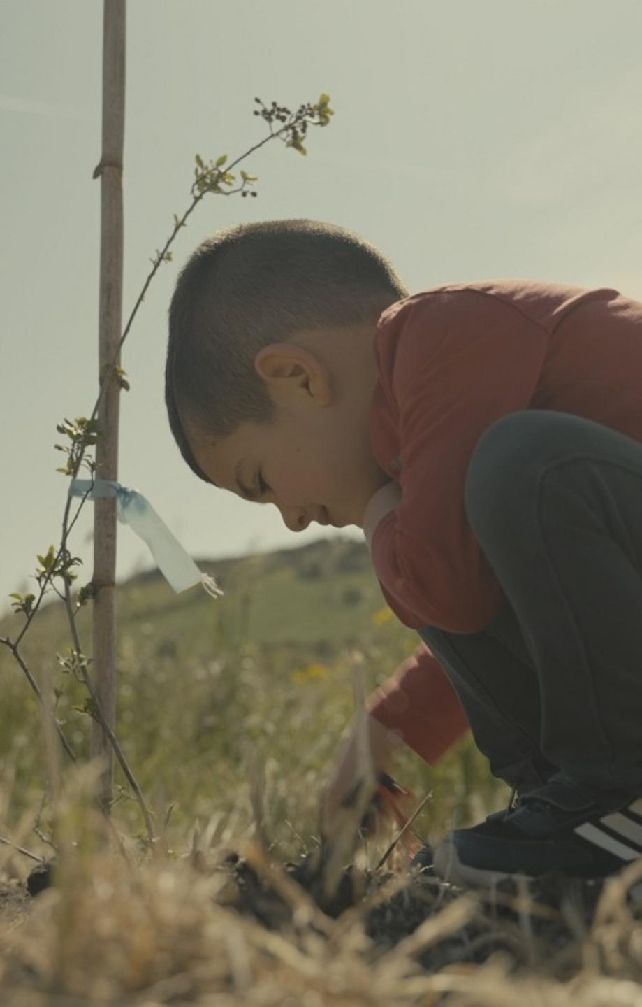 Peter Marcias: «Il mio film, risposta alla furia del fuoco» 