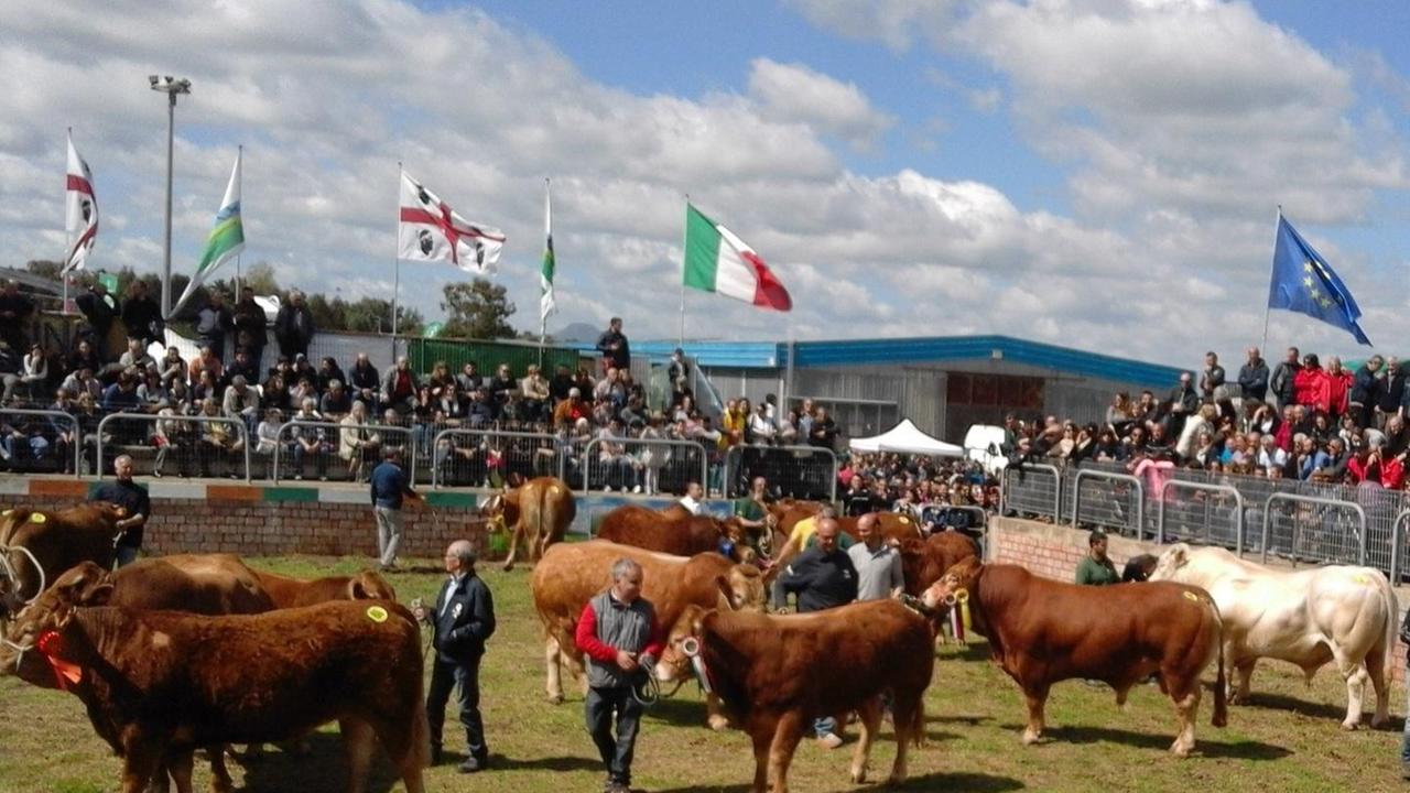 La Fiera del bovino torna in versione autunnale