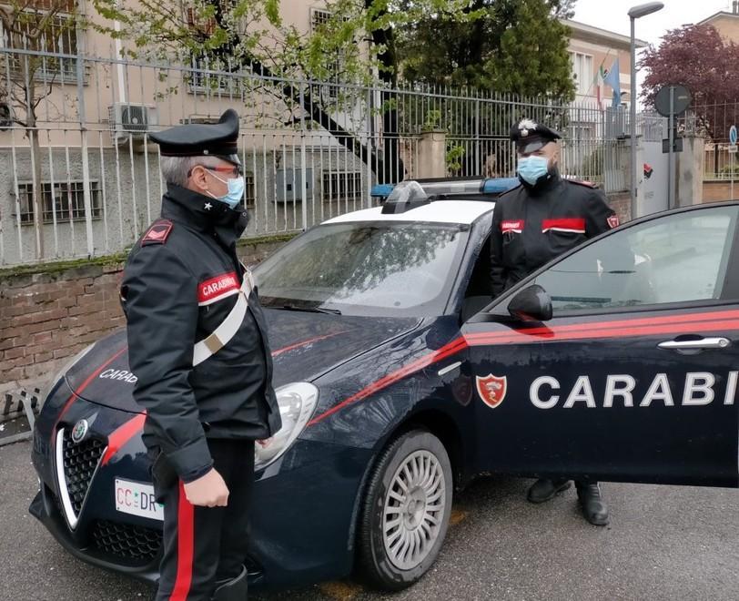 Portoverrara, tentano di rubare un cavallo di razza dall’allevamento 
