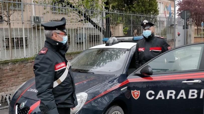 Portoverrara, tentano di rubare un cavallo di razza dall’allevamento