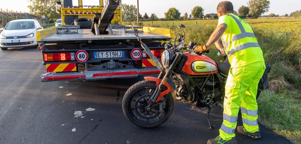 Colpisce un fagiano e cade sull’asfalto Motociclista ferito 