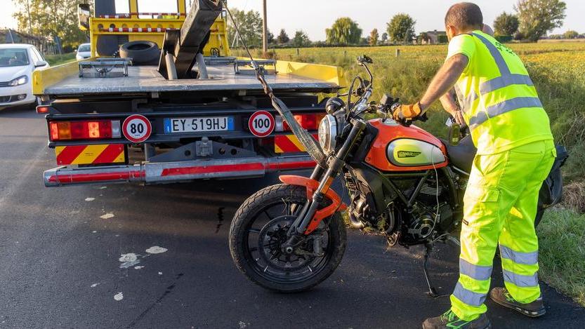 Colpisce un fagiano e cade sull’asfalto Motociclista ferito