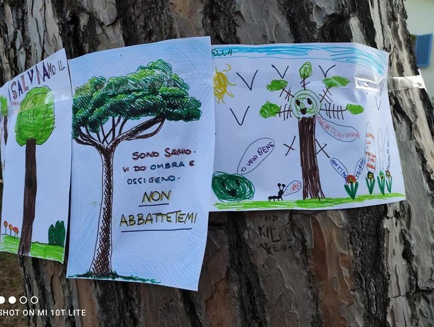 L’appello lanciato attraverso Facebook è a continuare il lavoro con matite e parole per fare capire che l’albero non deve essere abbattuto e che i cittadini hanno deciso di difenderlo