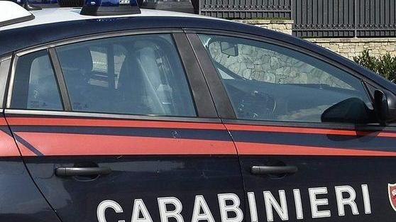 Svuotano gli scaffali e vengono denunciati