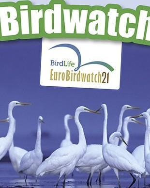 Eurobirdwatching e lo spettacolo della migrazione degli uccelli