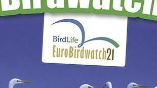 Eurobirdwatching e lo spettacolo della migrazione degli uccelli