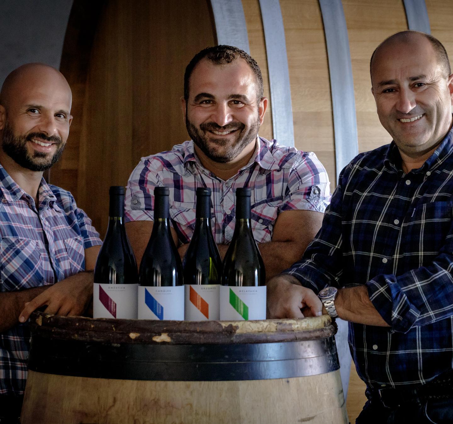 Neoneli, il paradiso delle vigne ad alberello 