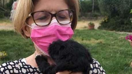 A spasso dal borgo al Teatro del silenzio: passeggiata a sei zampe per aiutare il canile